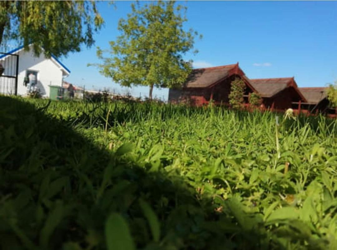 Pensiunea La Tavi Murighiol Exteriör bild