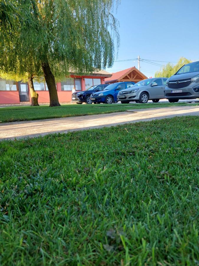 Pensiunea La Tavi Murighiol Exteriör bild