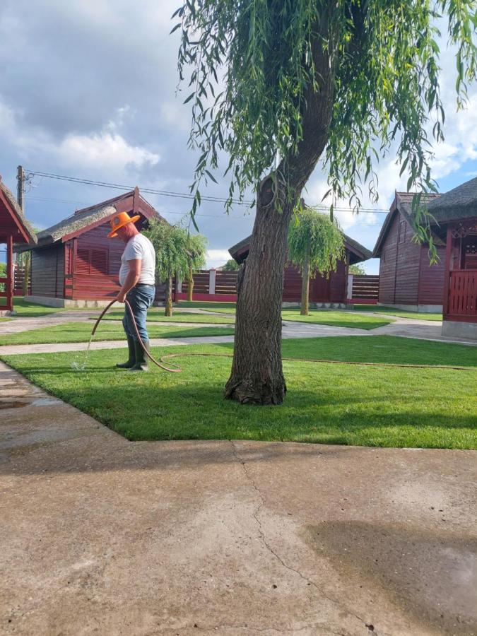 Pensiunea La Tavi Murighiol Exteriör bild